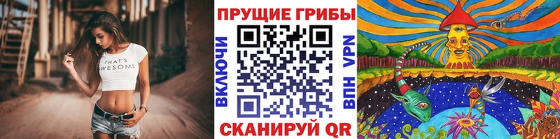 купить  цена  Владивосток  Псилоцибиновые грибы мицелий 